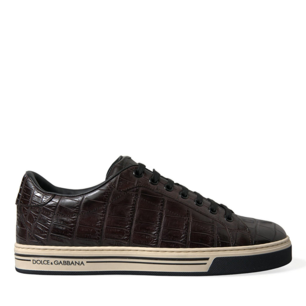 Dolce & Gabbana Brown Croc Exotic Leather Men Casual Sneakers Shoes