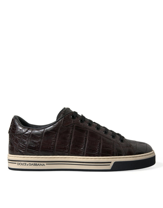 Dolce & Gabbana Brown Croc Exotic Leather Men Casual Sneakers Shoes Dolce & Gabbana