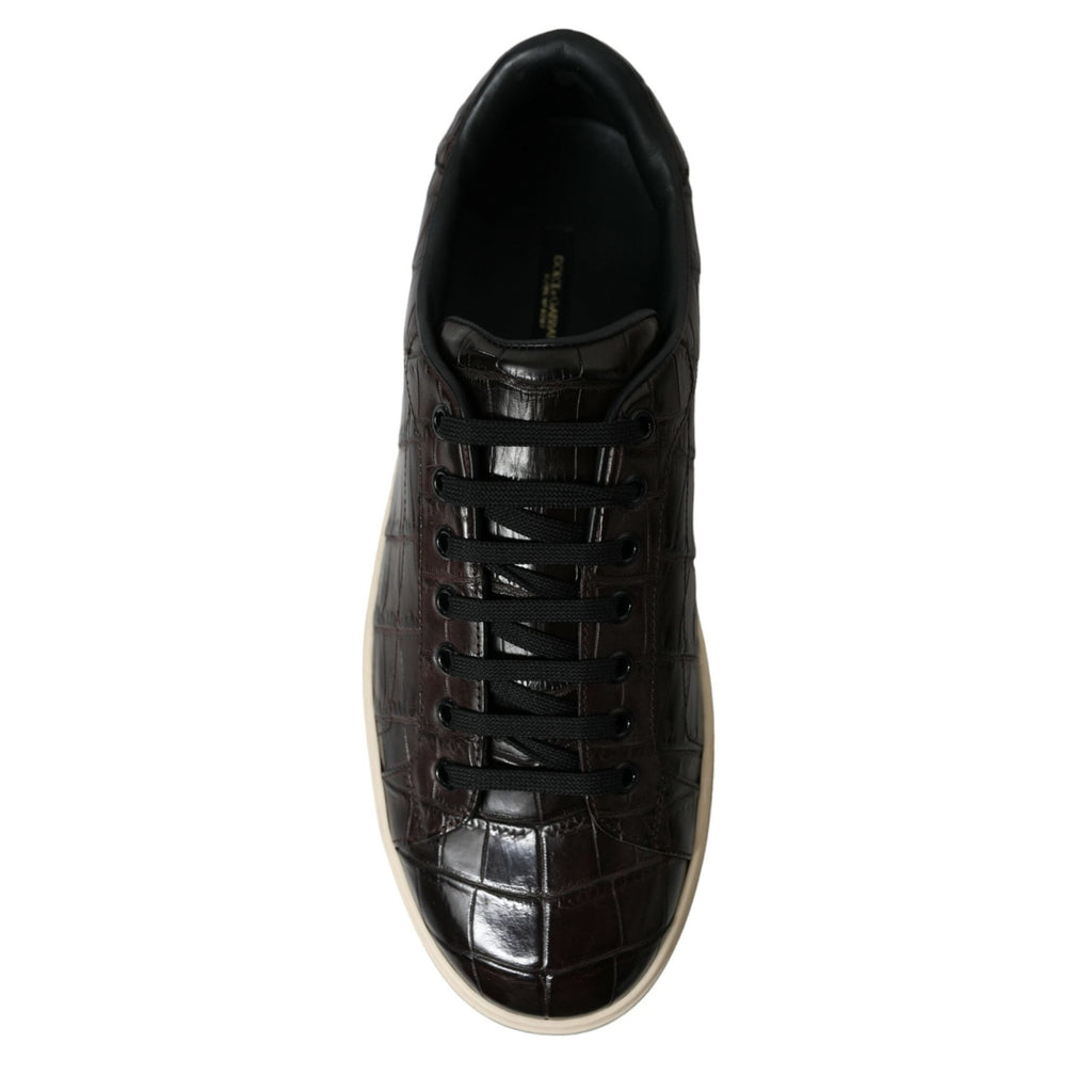 Dolce & Gabbana Brown Croc Exotic Leather Men Casual Sneakers Shoes