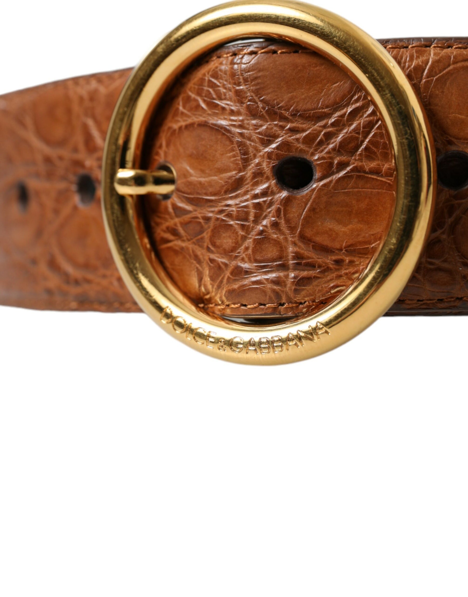 Dolce & Gabbana Brown Exotic Leather Round Buckle Belt Dolce & Gabbana