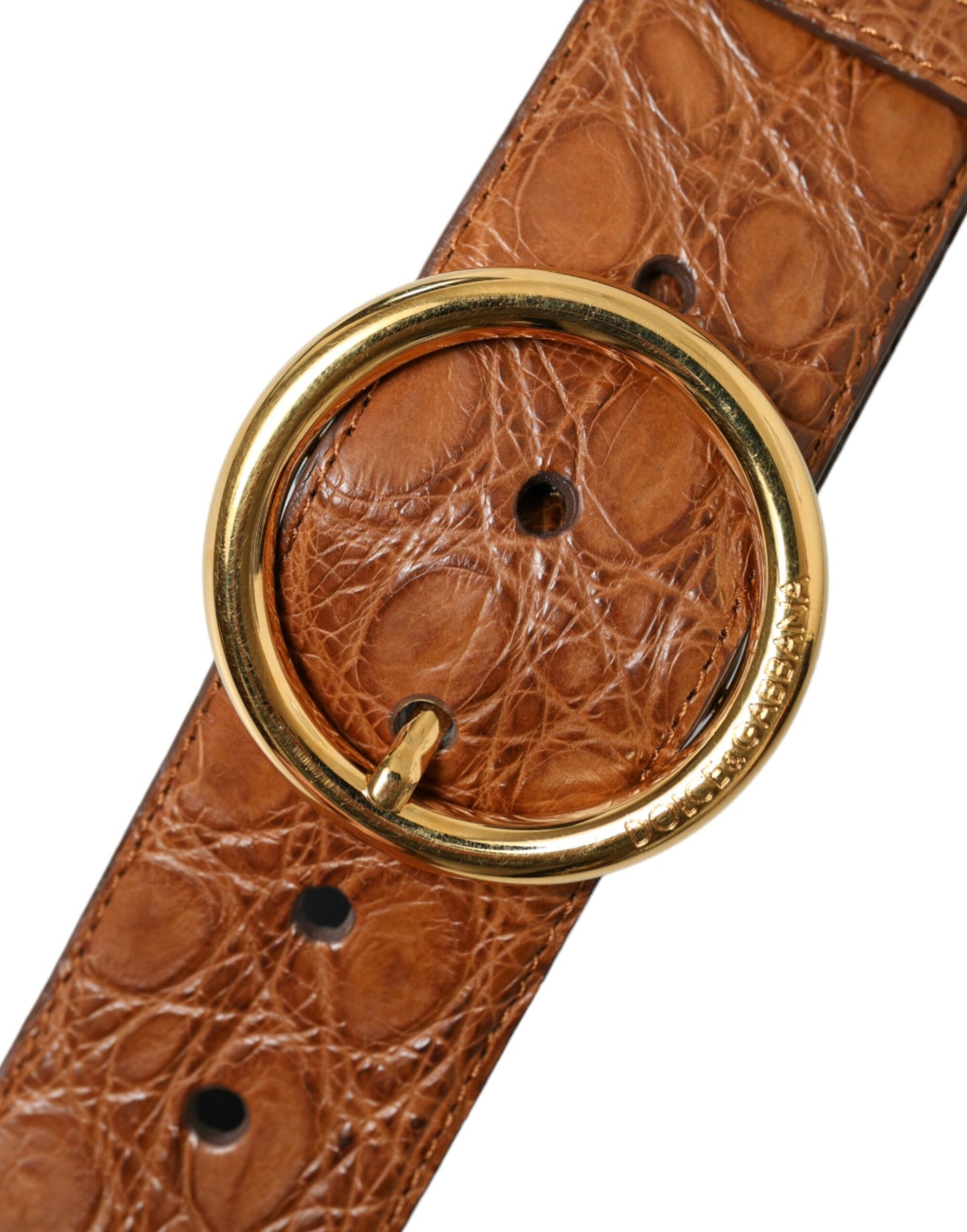 Dolce & Gabbana Brown Exotic Leather Round Buckle Belt Dolce & Gabbana