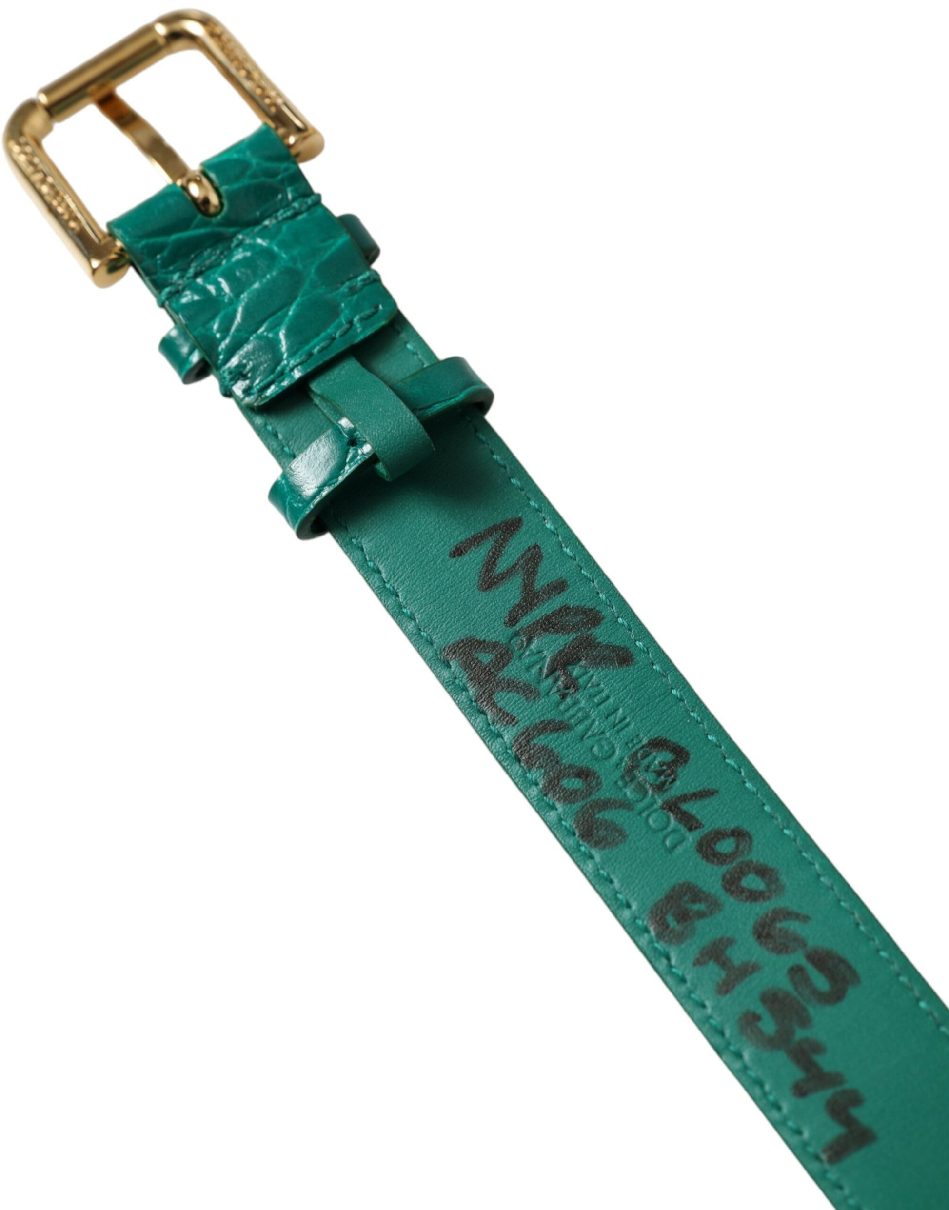 Dolce & Gabbana Green Textured Leather Gold Tone Metal Buckle Neckband Dolce & Gabbana