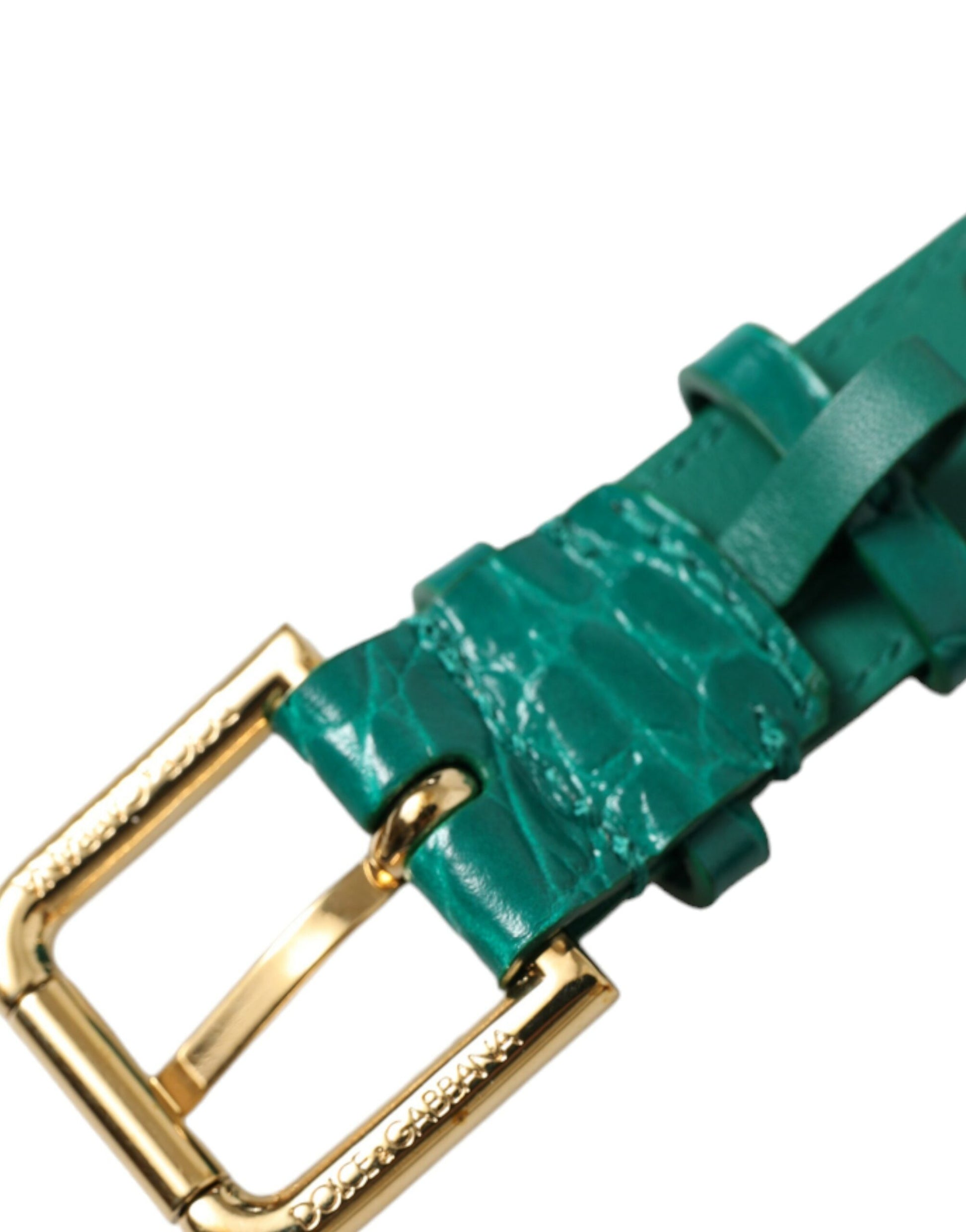 Dolce & Gabbana Green Textured Leather Gold Tone Metal Buckle Neckband Dolce & Gabbana