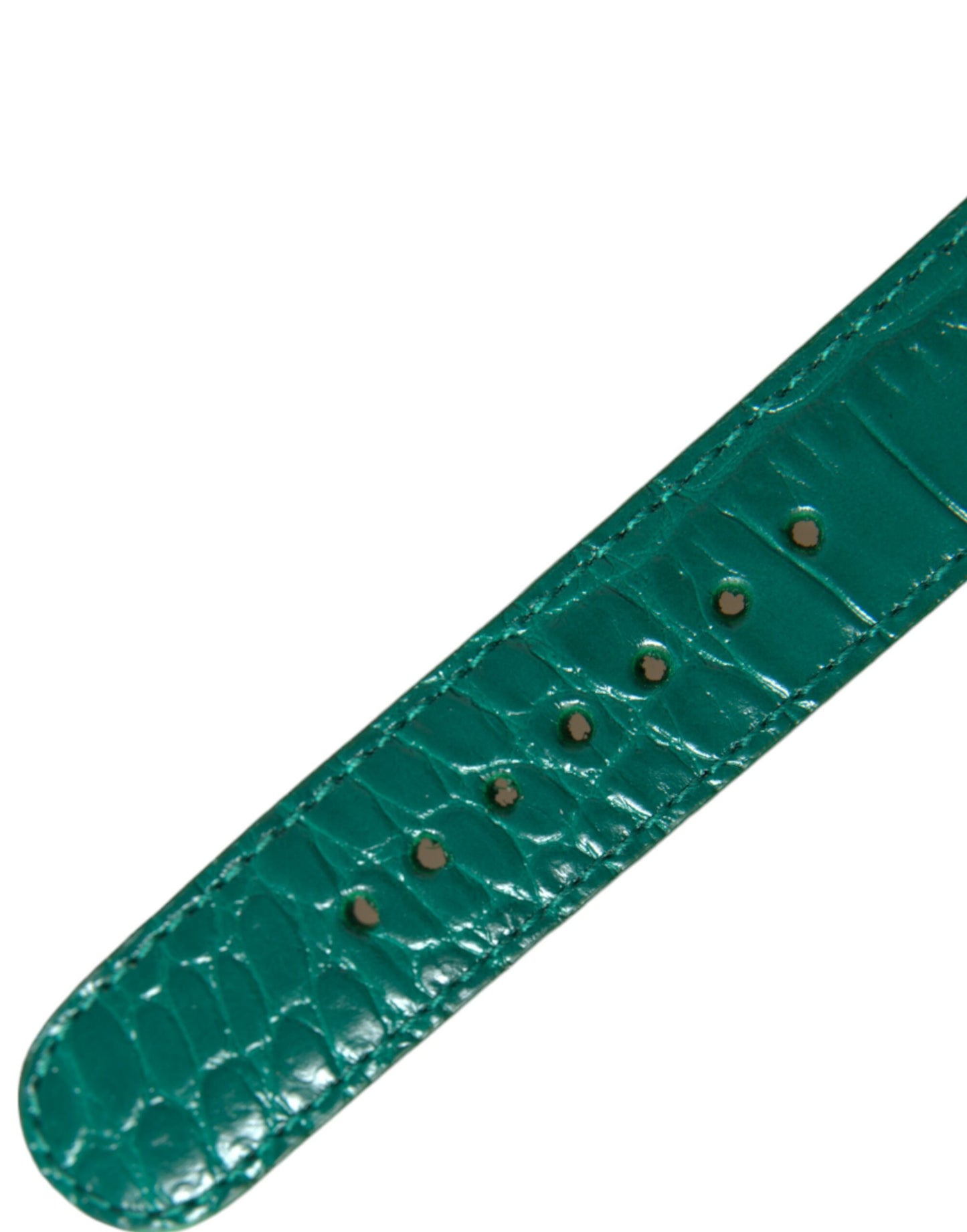Dolce & Gabbana Green Textured Leather Gold Tone Metal Buckle Neckband Dolce & Gabbana