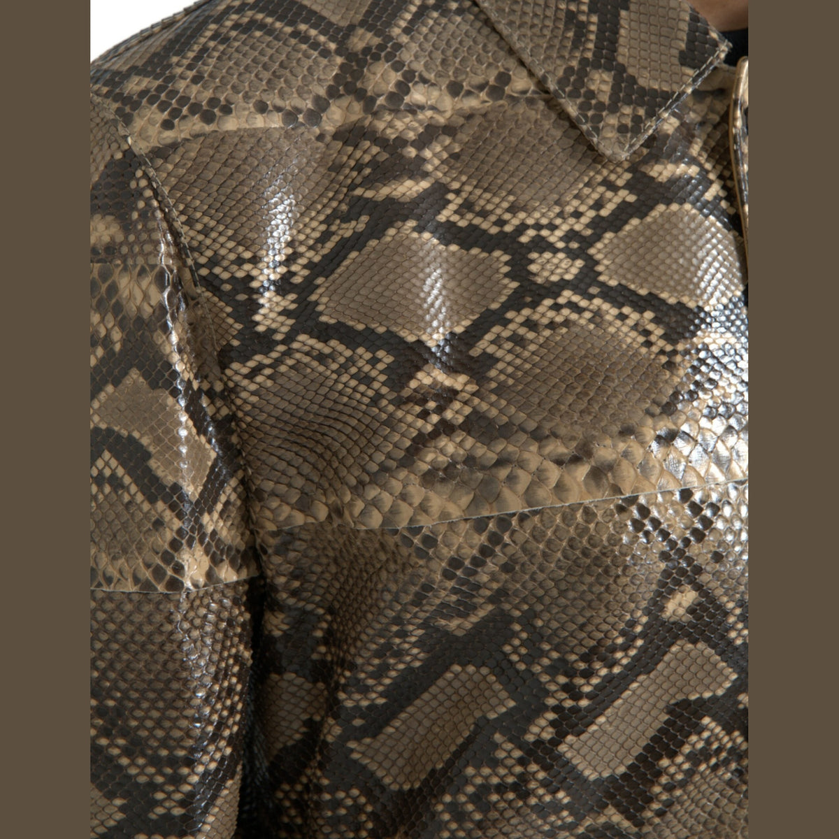 Dolce & Gabbana Beige Exotic Leather Biker Blouson Jacket