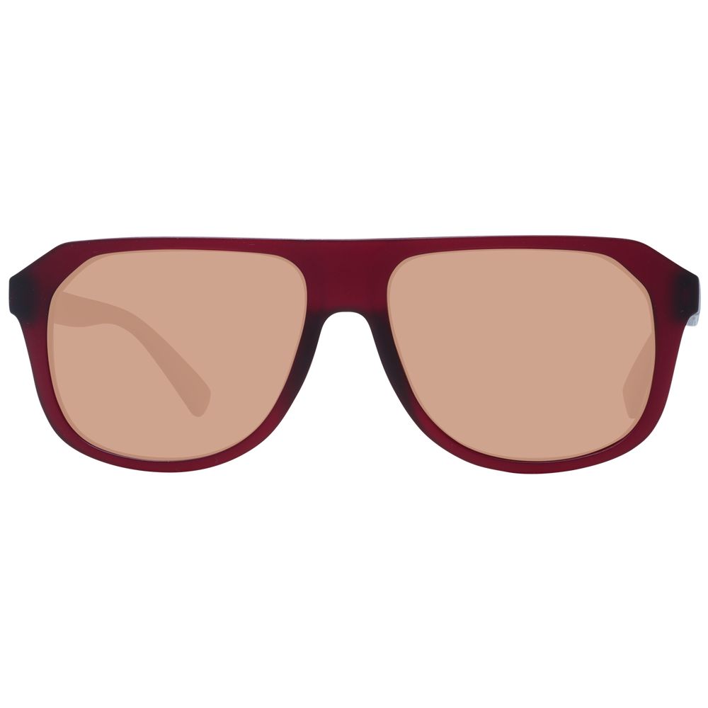 Serengeti Burgundy Men Sunglass