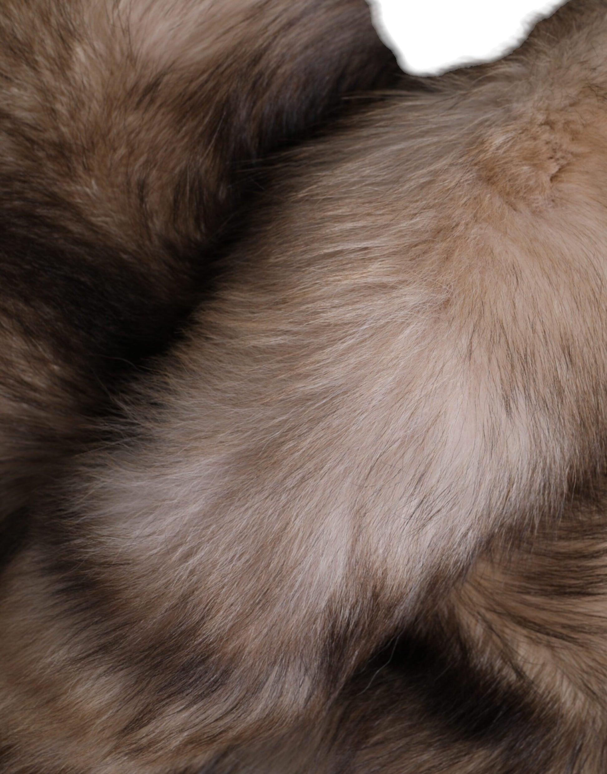 Dolce & Gabbana Brown Frost Fox Fur Neck Warmer Winter Scarf Dolce & Gabbana