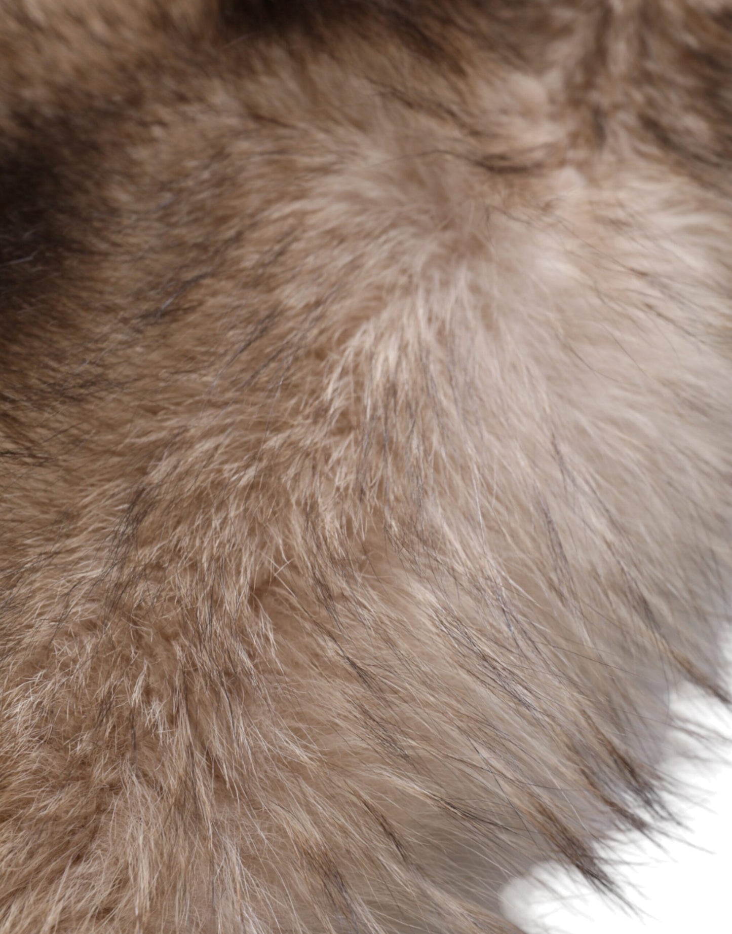 Dolce & Gabbana Brown Frost Fox Fur Neck Warmer Winter Scarf Dolce & Gabbana