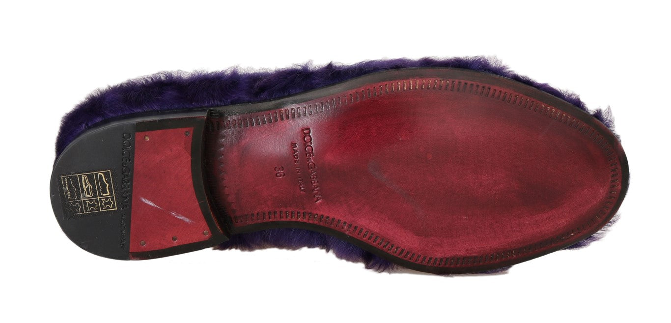 Dolce & Gabbana Purple Sheep Fur Leather Loafers Dolce & Gabbana
