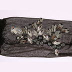 Dolce & Gabbana Black Stretch Floral Clear Crystal Socks