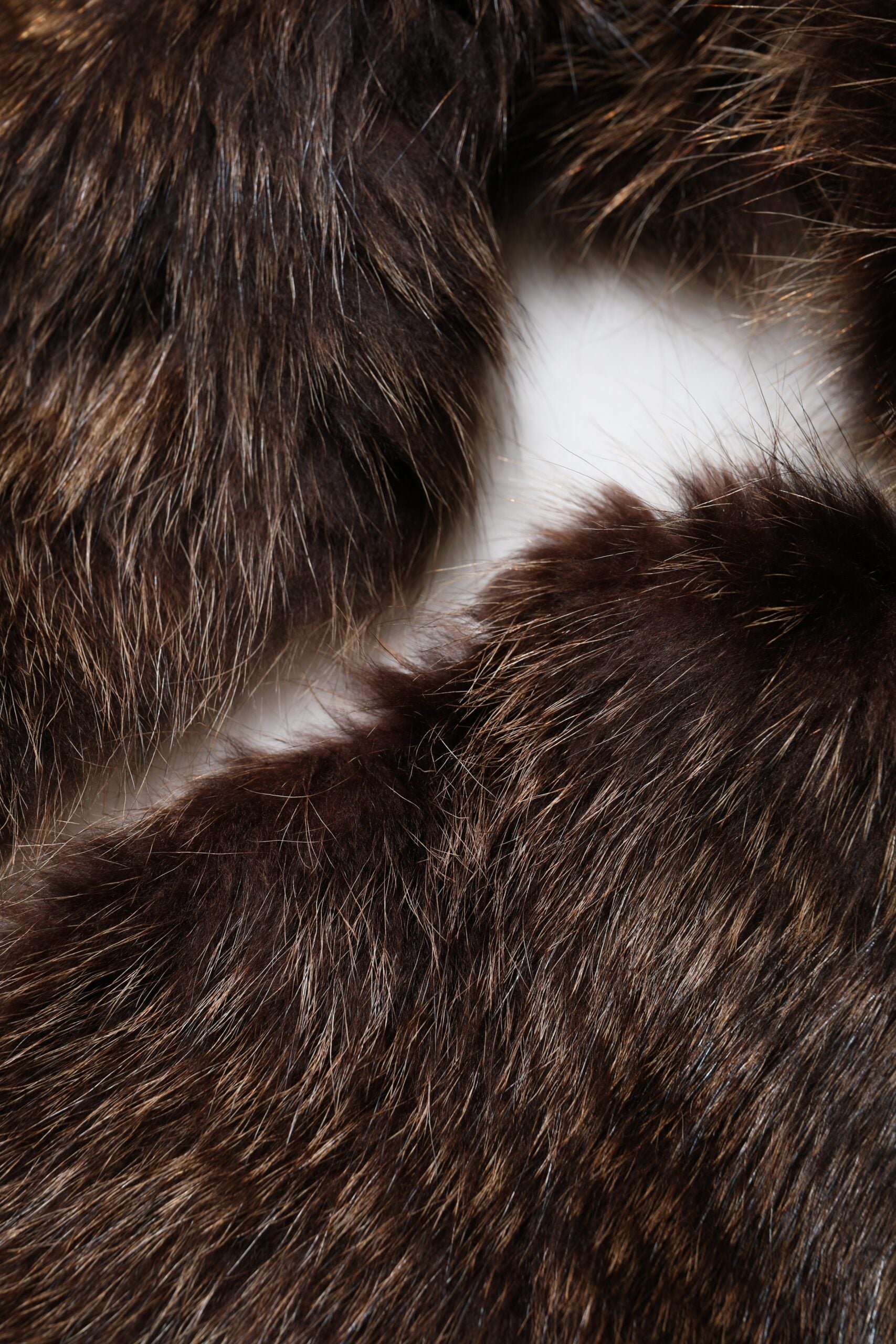 Dolce & Gabbana Brown Raccoon Fur Neck Warmer Winter Scarf Dolce & Gabbana