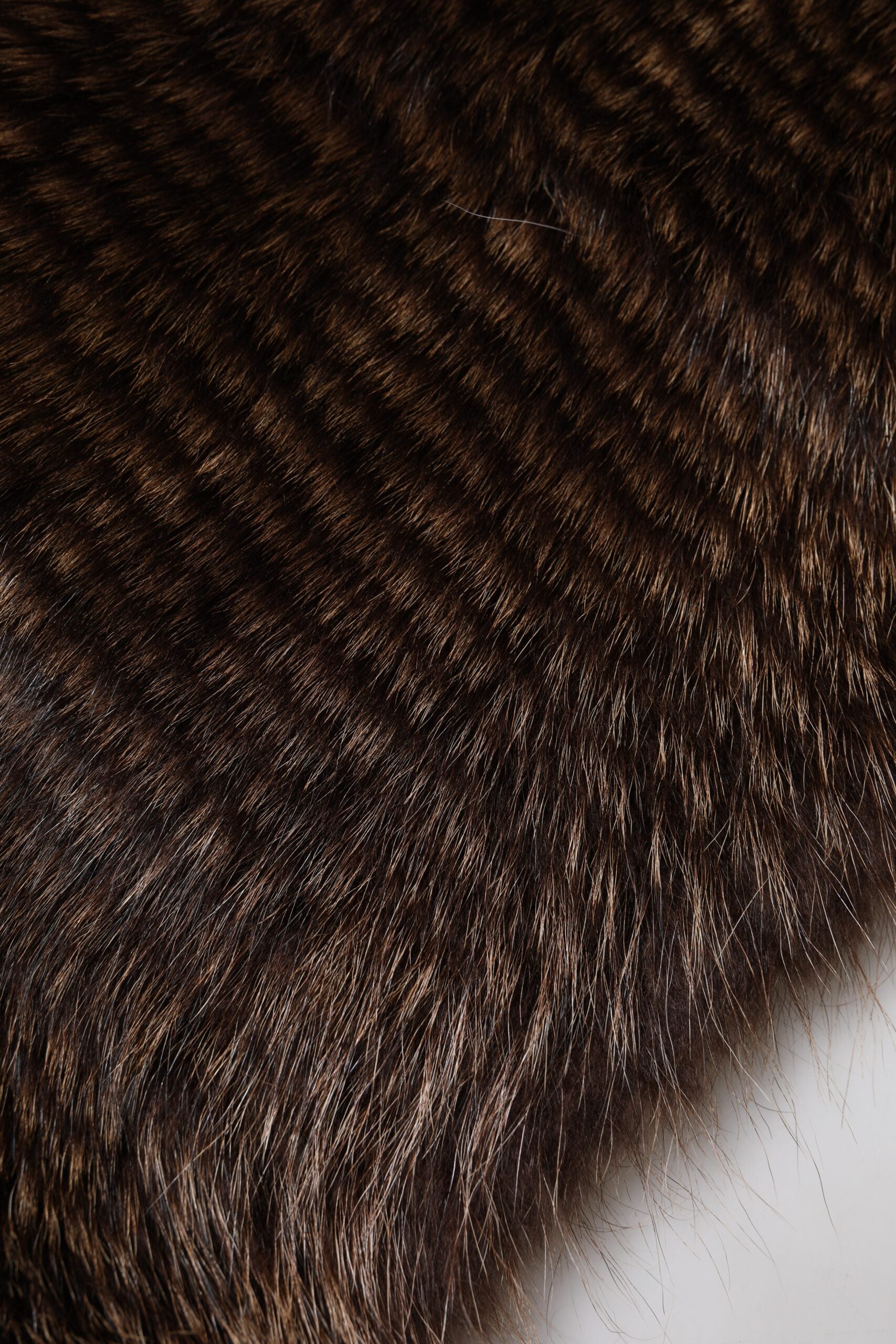 Dolce & Gabbana Brown Raccoon Fur Neck Warmer Winter Scarf Dolce & Gabbana