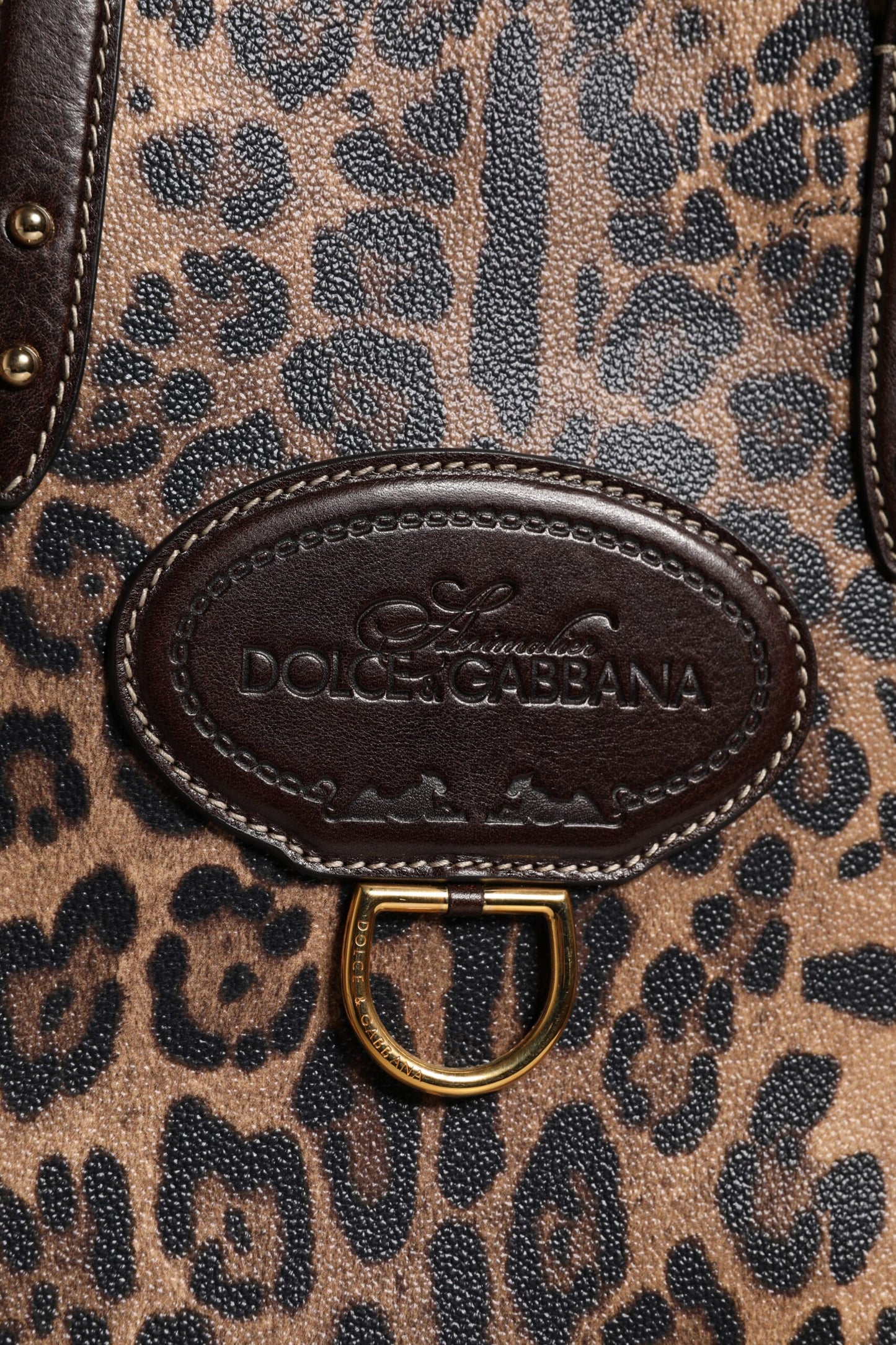 Dolce & Gabbana Brown Leopard Leather Shoulder Strap Tote Bag Dolce & Gabbana