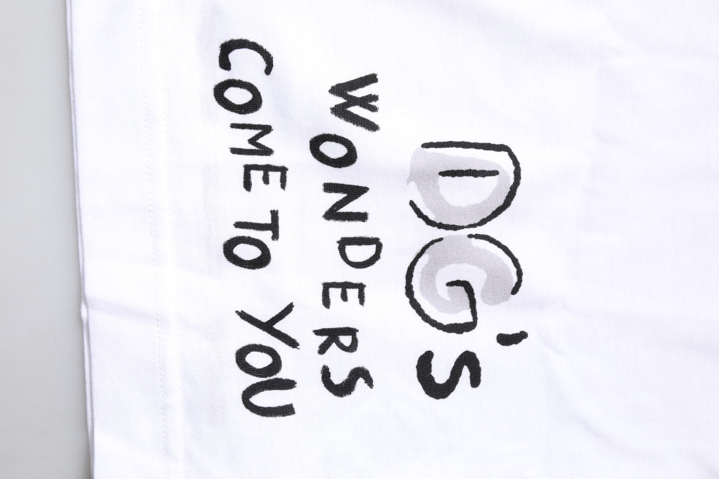 Dolce & Gabbana White Short-Sleeved Printed Jersey T-shirt Dolce & Gabbana