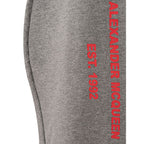 Alexander McQueen Chic Gray Cotton Blend Trousers