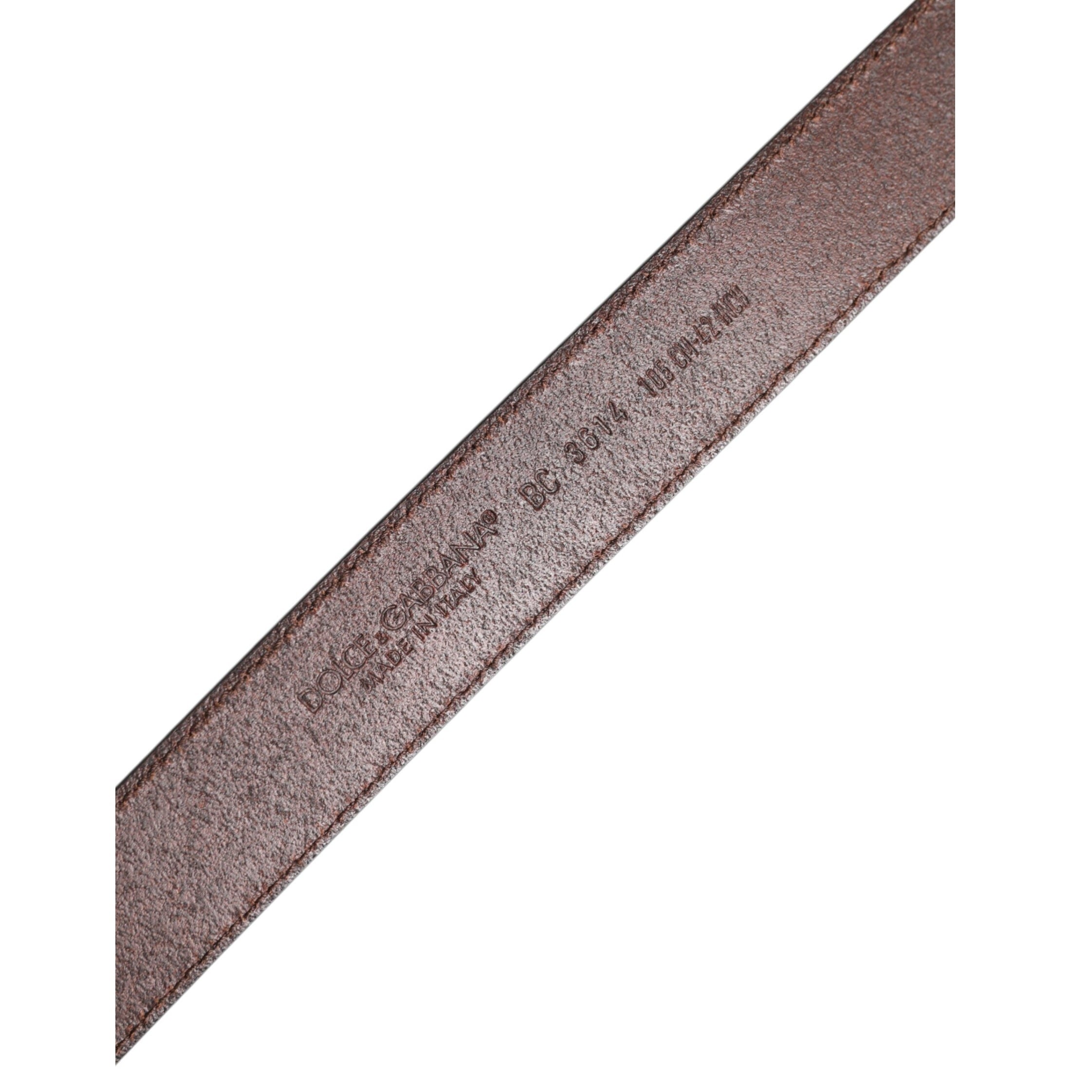Dolce & Gabbana Brown Classic Calf Leather Metal Buckle Belt