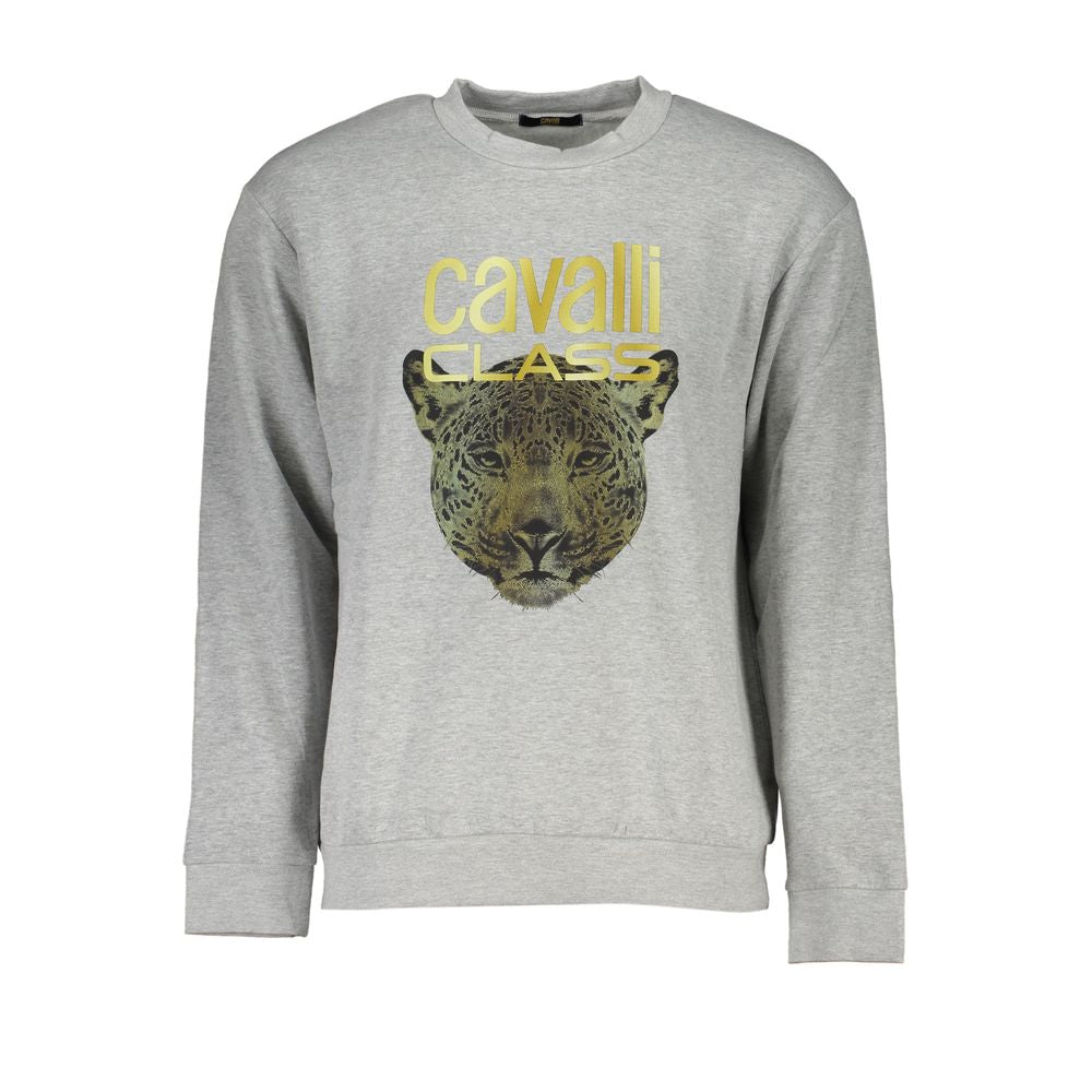 Gray Cavalli Class cotton men's sweater with a classic fit and ribbed cuffs, displayed flat on a white background.