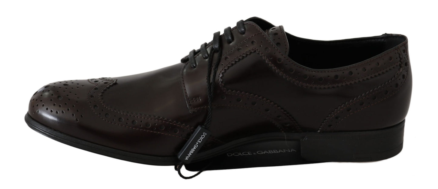 Dolce & Gabbana Brown Leather Broques Oxford Wingtip Shoes Dolce & Gabbana