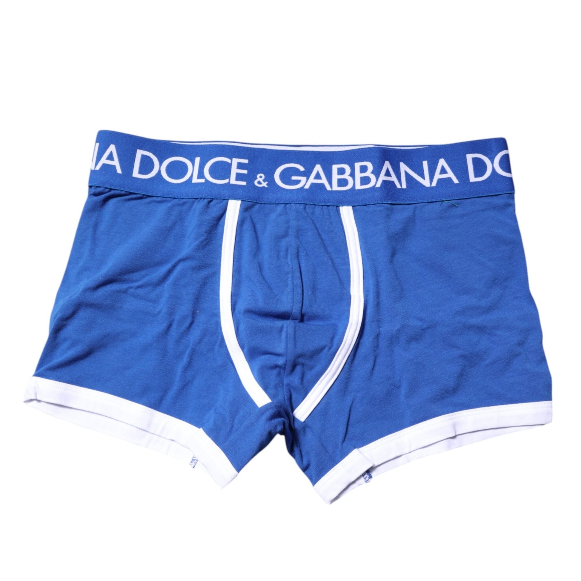 Dolce & Gabbana Blue Logo Waist Regular Boxer Brief Underwear
