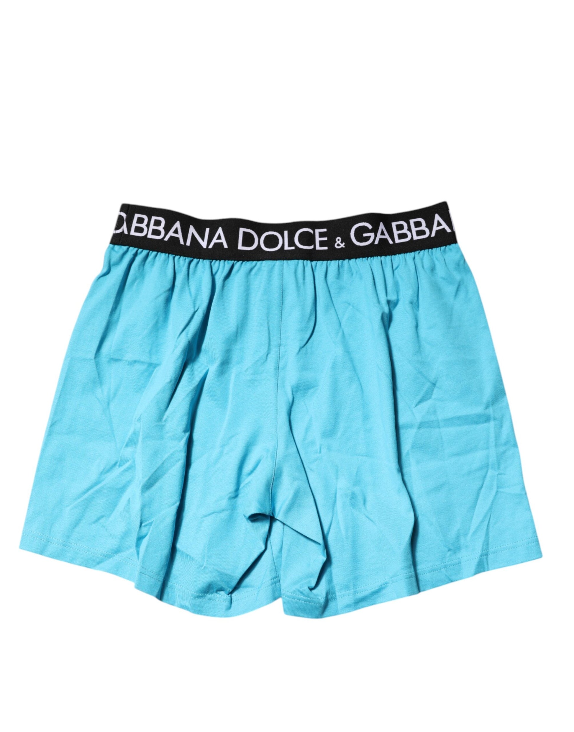 Dolce & Gabbana Blue Logo Waist Regular Boxer Shorts Underwear Dolce & Gabbana