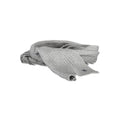 U.S. POLO ASSN. Gray Wool Men's Scarf U.S. POLO ASSN.
