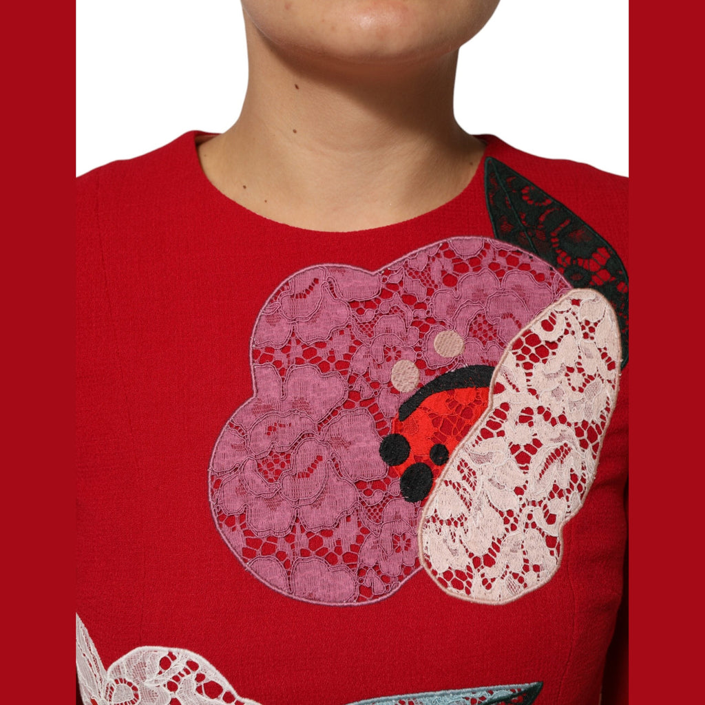 Dolce & Gabbana Red Lace Floral Applique A-line Mini Dress
