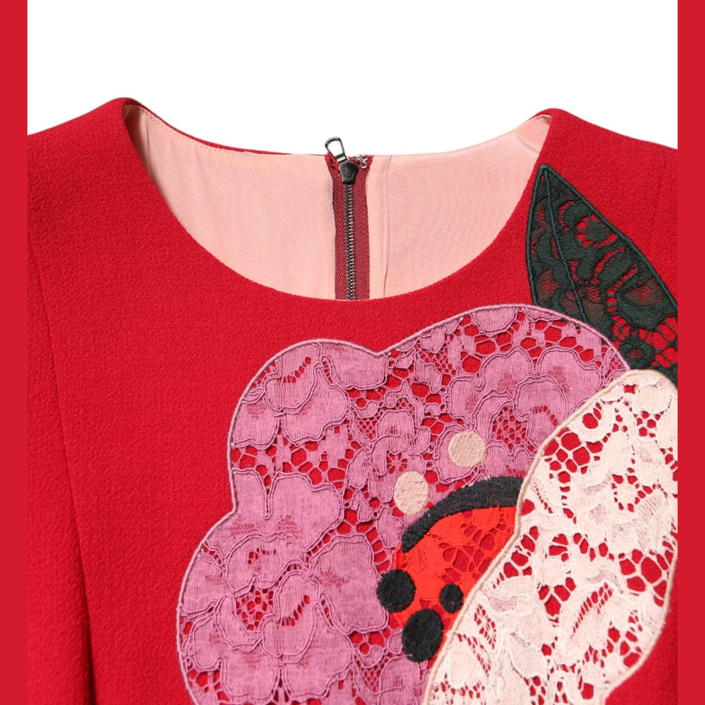 Dolce & Gabbana Red Lace Floral Applique A-line Mini Dress