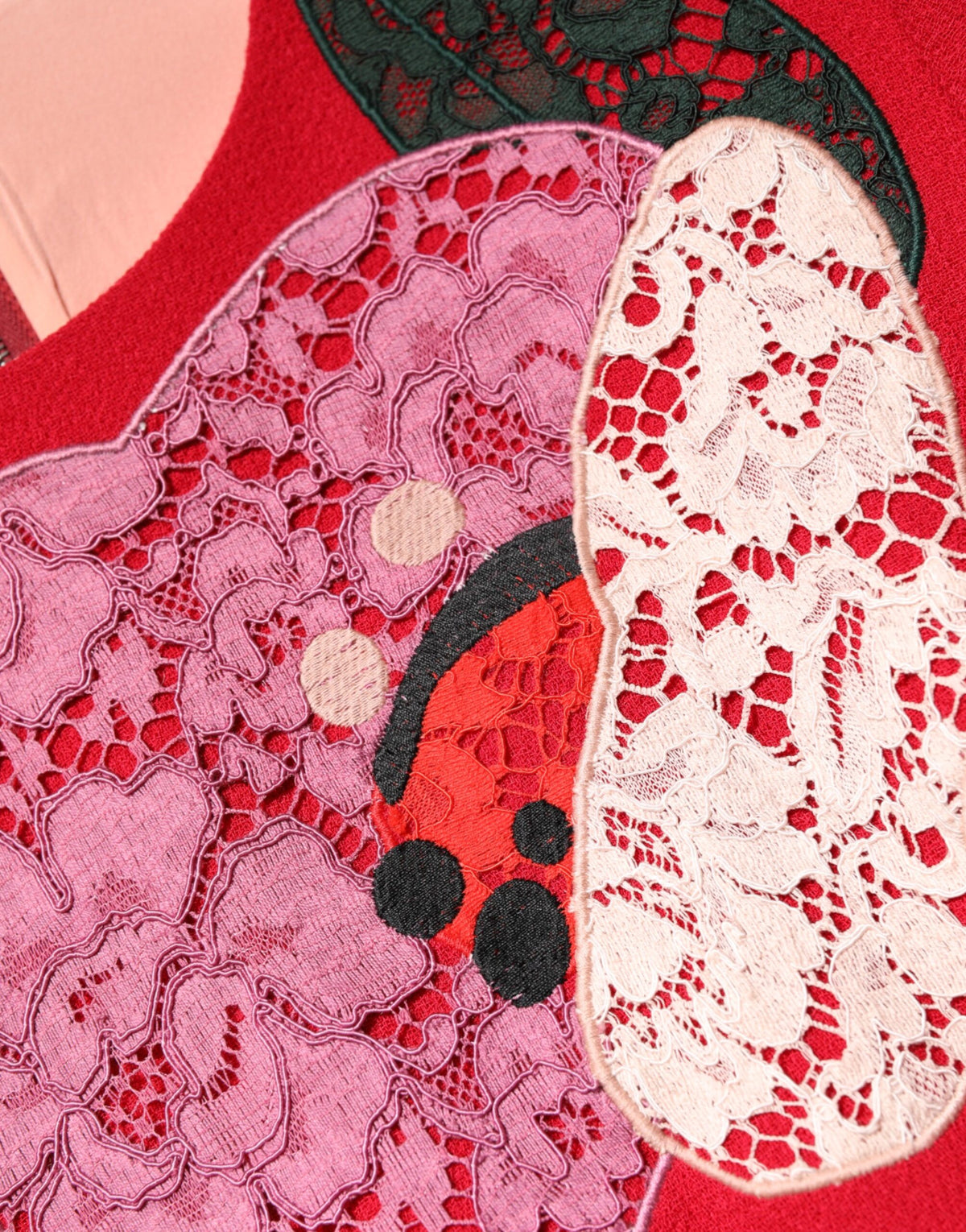 Dolce & Gabbana Red Lace Floral Applique A-line Mini Dress - Eljoys Fashion 