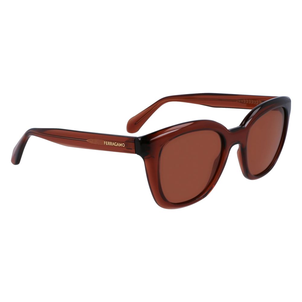 Ferragamo Brown Injected Sunglasses Ferragamo