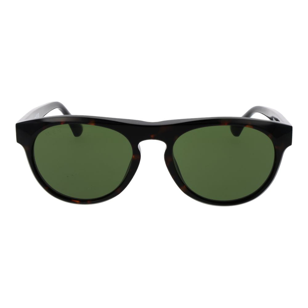 Web Brown Acetate Sunglasses Web