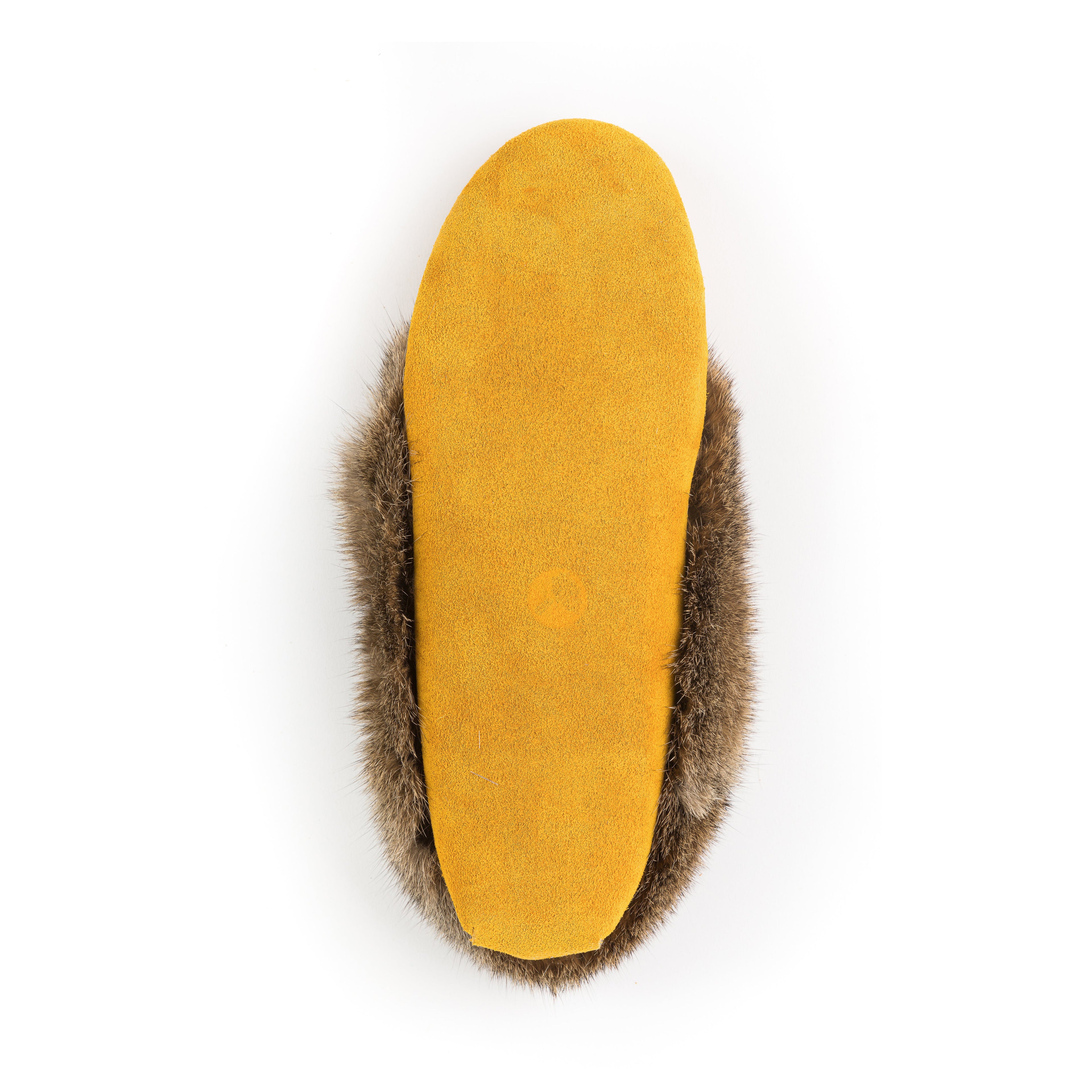 Tänionnienha’ lapin