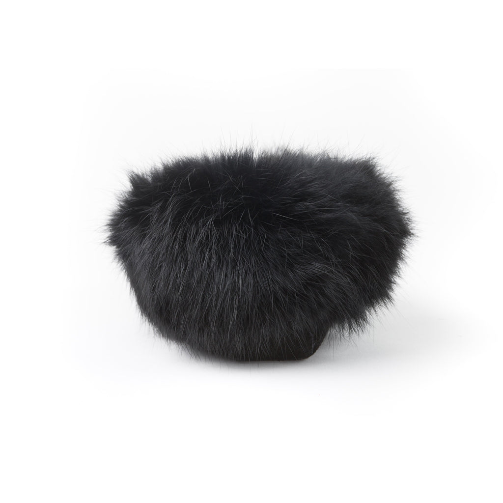 Tänionnienha’ lapin