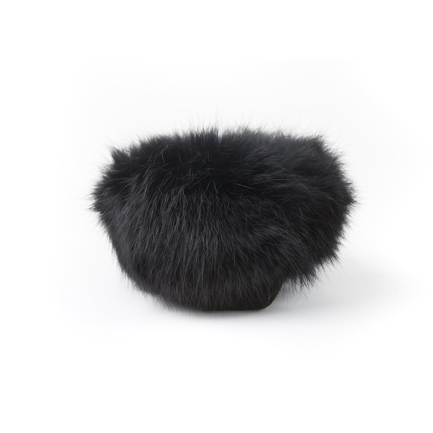 Tänionnienha’ lapin