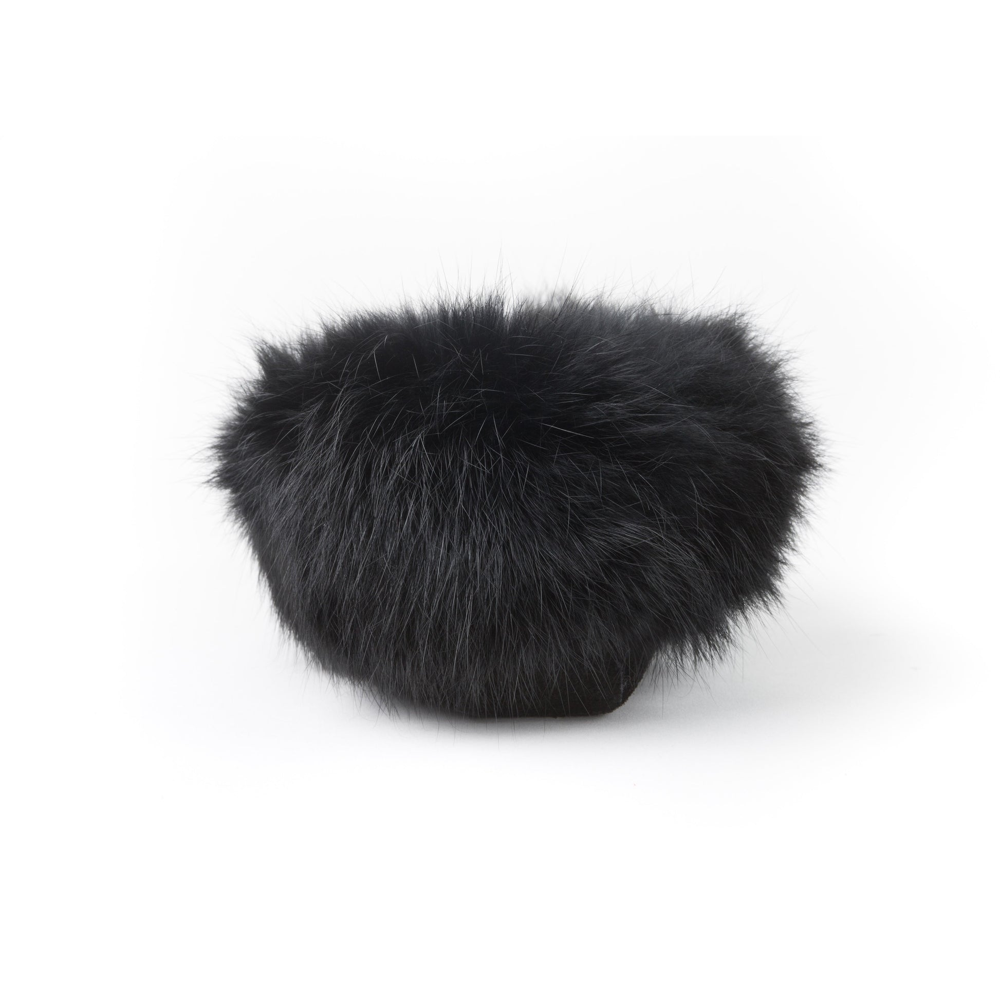 Tänionnienha’ lapin