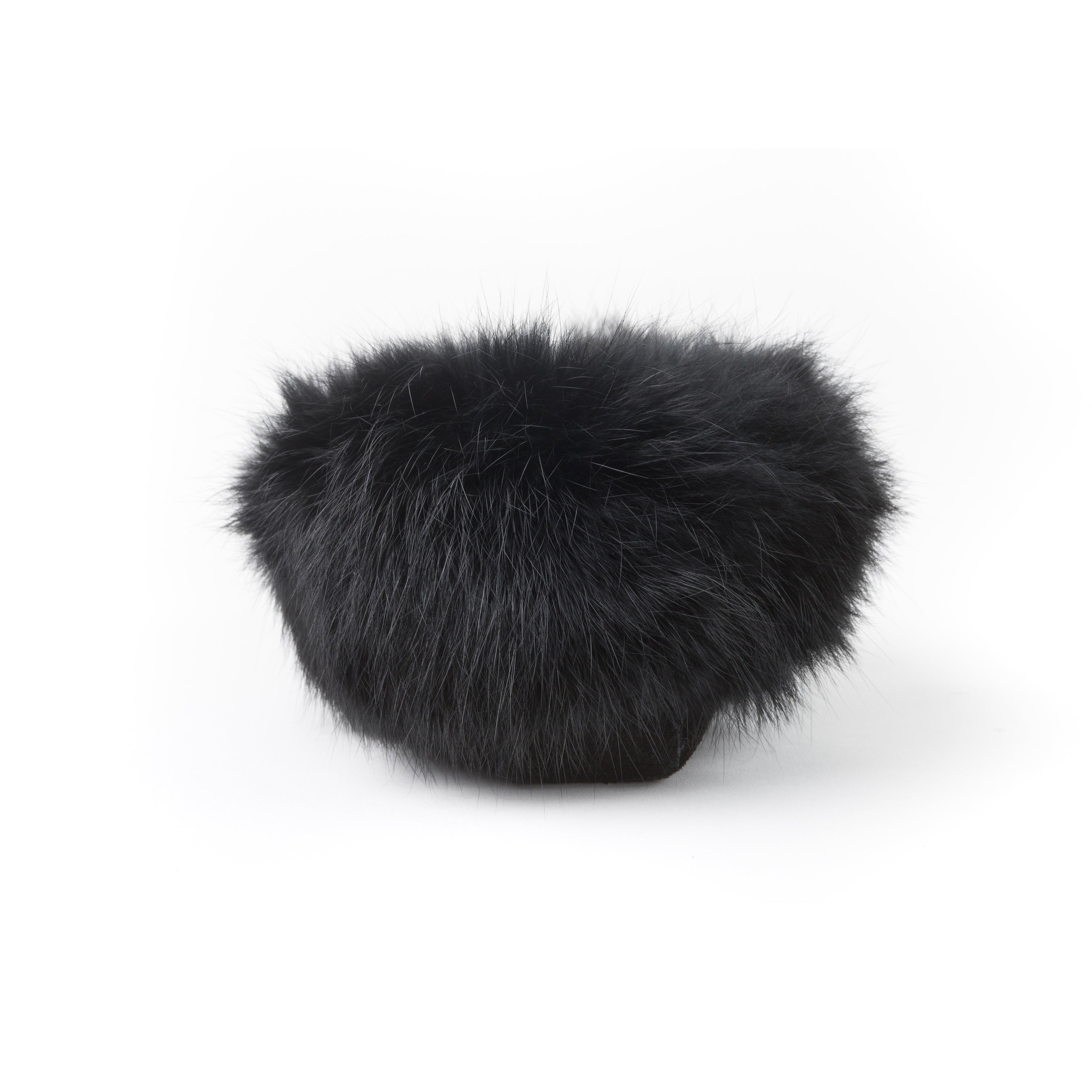 Tänionnienha’ lapin