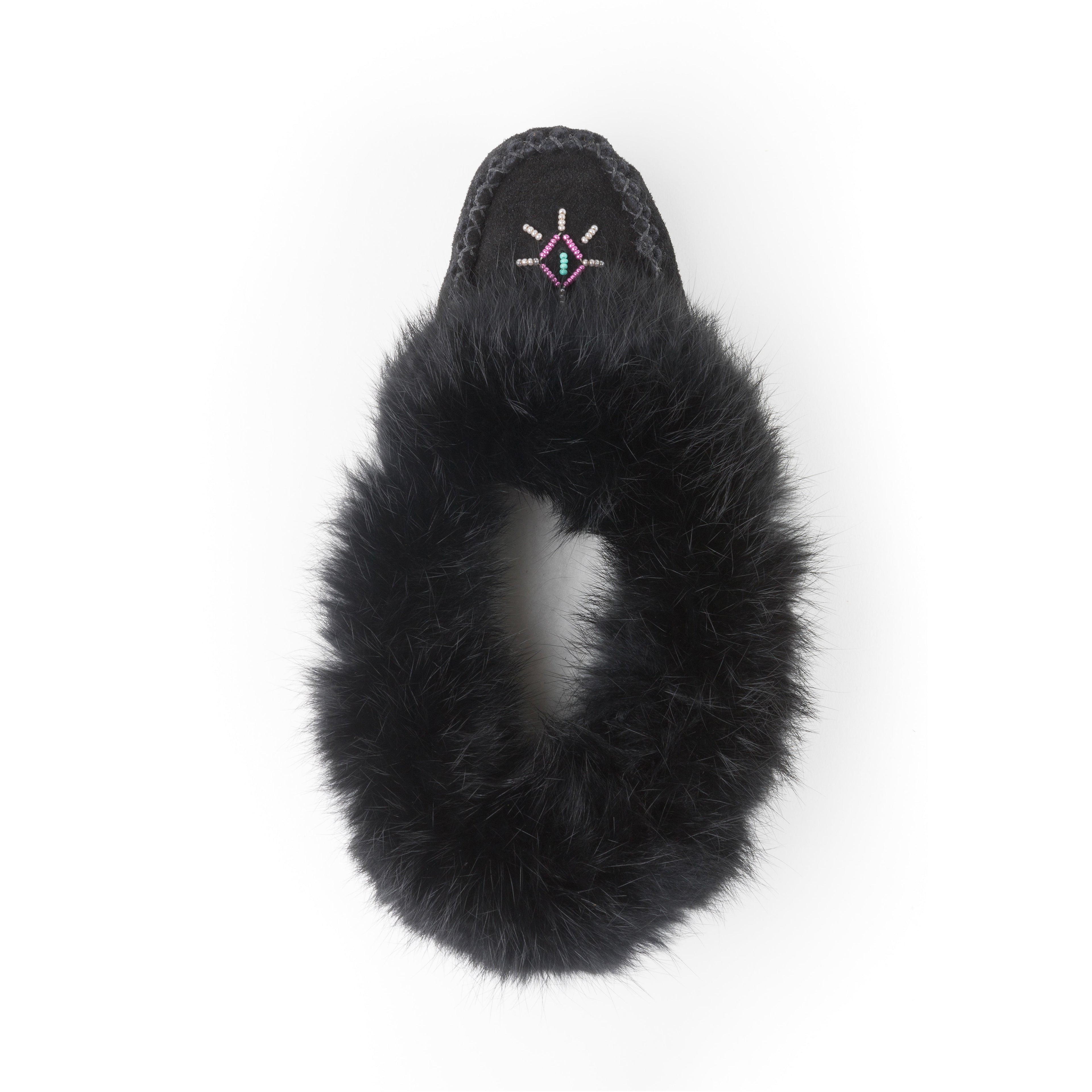 Tänionnienha’ lapin