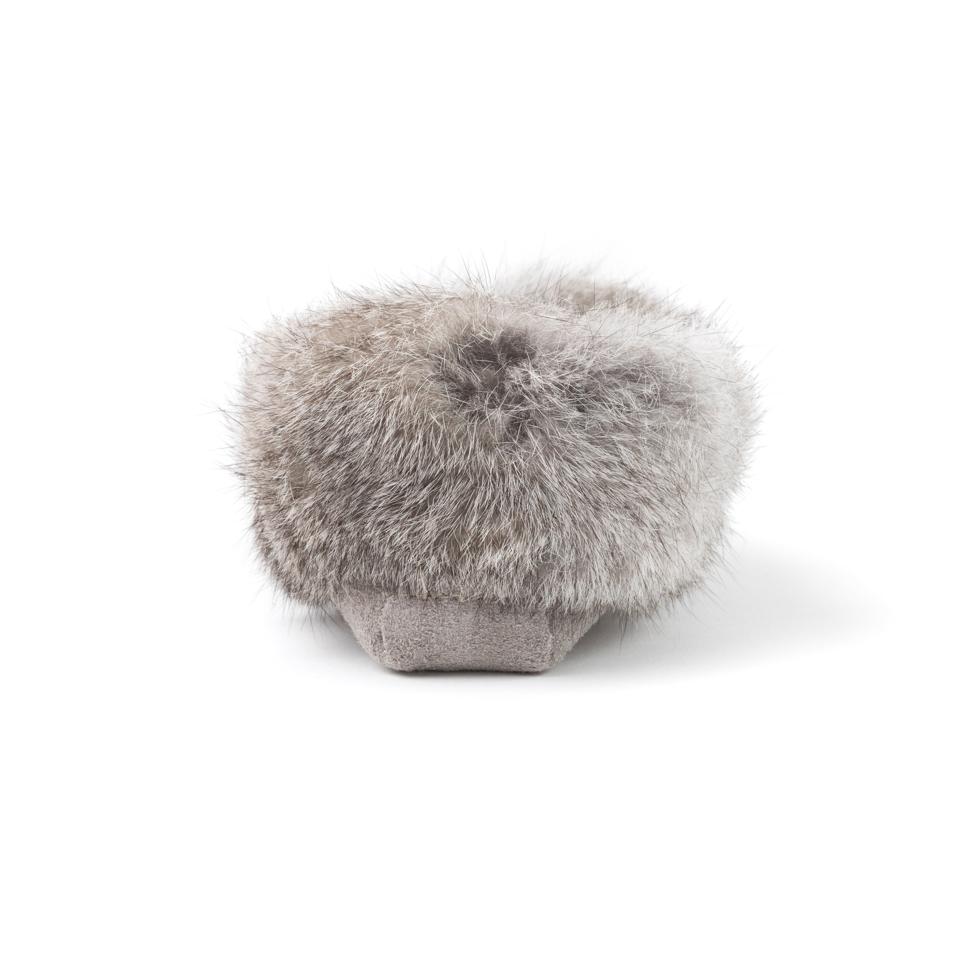 Tänionnienha’ lapin